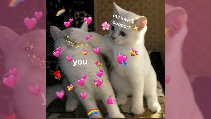 Meme Valentine hài hước với phong cách cục súc đầy thú vị