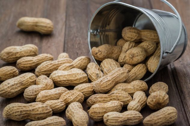 4-peanuts_000078800189_Small
