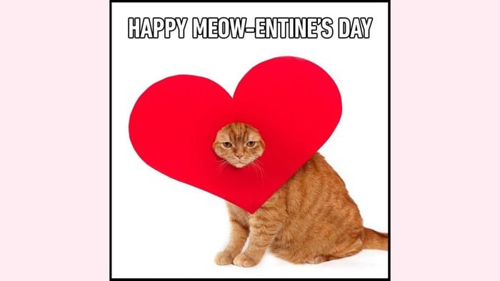 Meme Valentine đòi quà với phong cách siêu lầy lội