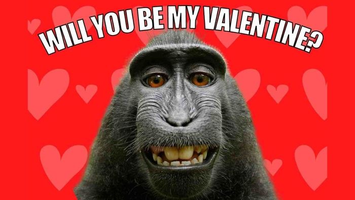 Meme Valentine với phong cách siêu bựa đầy hài hước