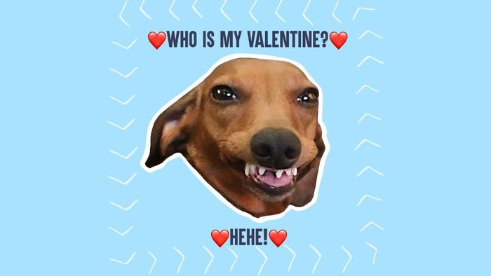 Meme Valentine hài hước và bựa không thể nhịn cười