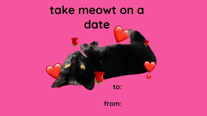 Meme Valentine với sự dí dỏm đầy thú vị