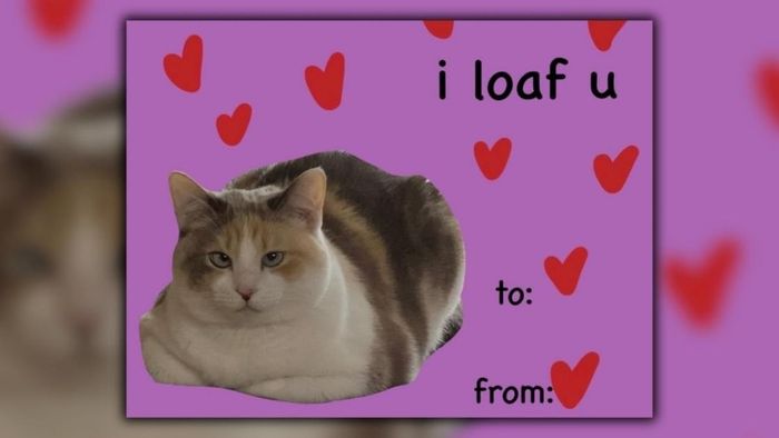 Meme Valentine hài hước khiến bạn bật cười không ngừng