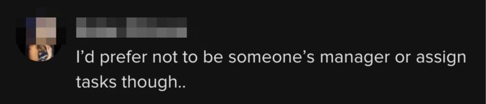 This person stated, "I wouldn’t want to act as someone’s manager or delegate tasks..."