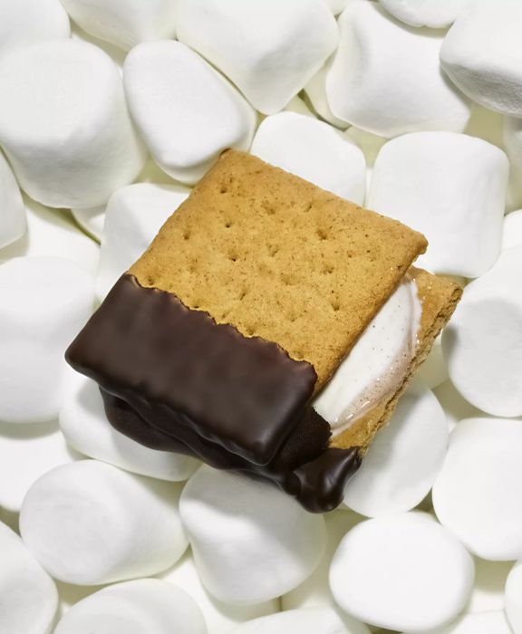 Ice Cream S'mores