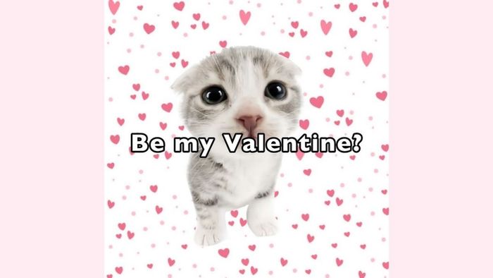 Meme Valentine đòi quà với sự dễ thương và hài hước