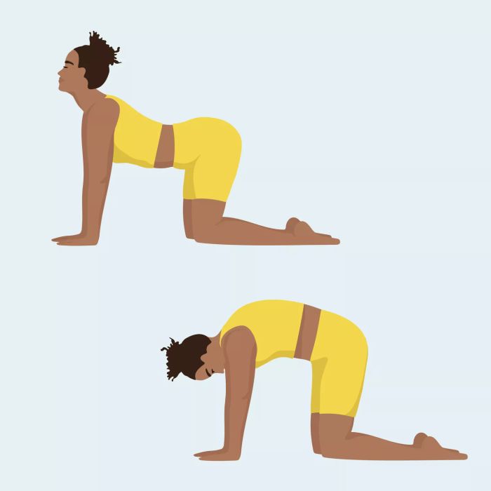 Yoga stretches for lower back: cat-cow pose