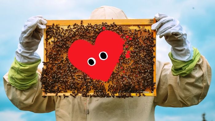 Meme Valentine hài hước đậm chất mặn mà