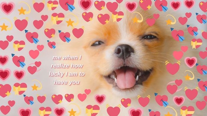 Meme Valentine hài hước khiến bạn vừa khóc vừa cười