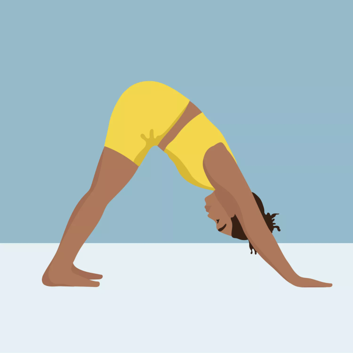 Yoga stretches for lower back: downward dog pose