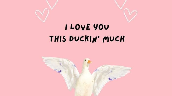 Meme Valentine hài hước khiến bạn không thể nhịn cười
