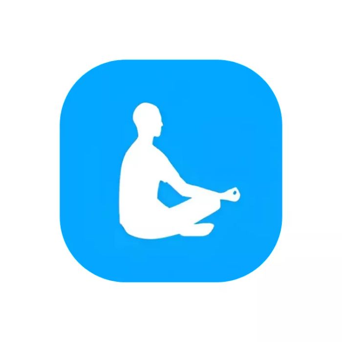The Mindfulness App provides over 500 guided meditations in more than 10 languages, designed to help clear your mind and enhance your mindfulness practice. It also offers sleep stories to aid in falling asleep, reminders, and the ability to sync with your Apple Watch.