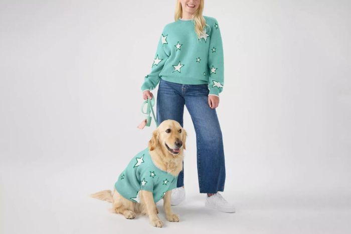 Splendid x Wild One Dog Star Sweater