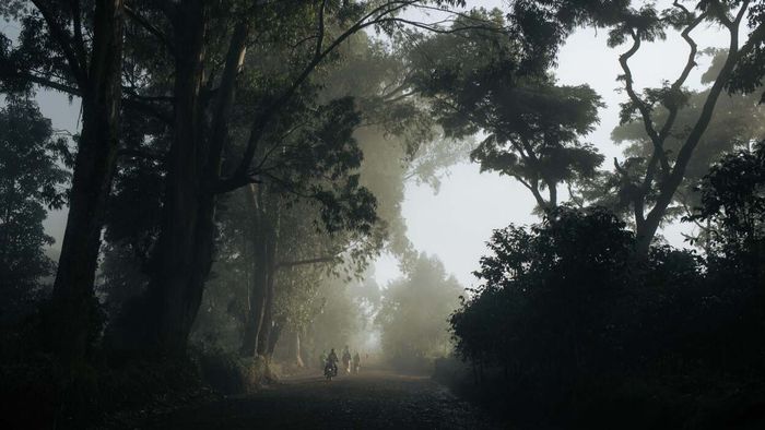 Onchocerciasis, or river blindness