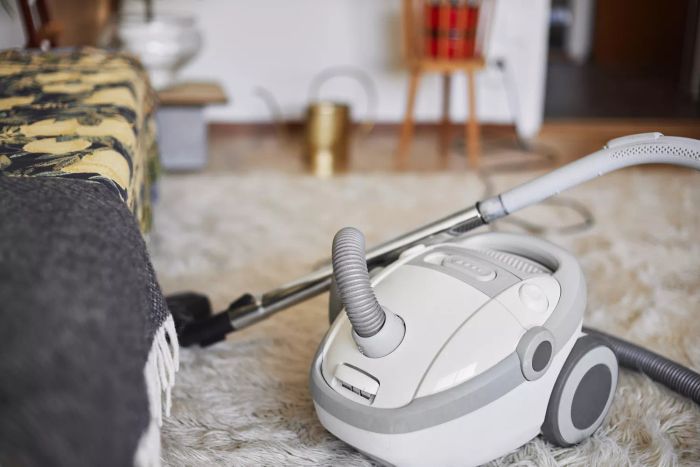 DIY carpet cleaning
