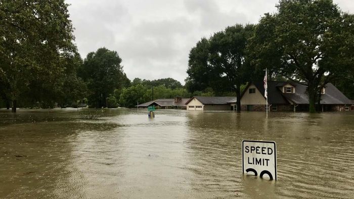 Key Steps to Take Early When Preparing for a Hurricane