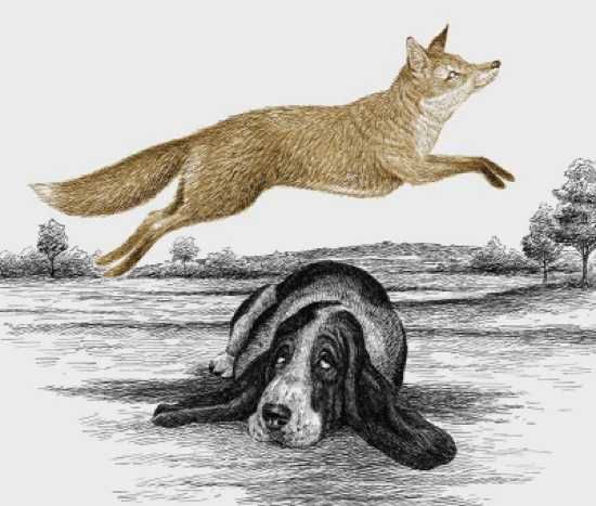 Fast%20Agile%20Fox