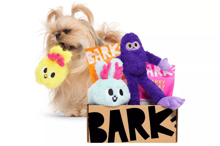 Amazon BarkBox Monthly Subscription Box