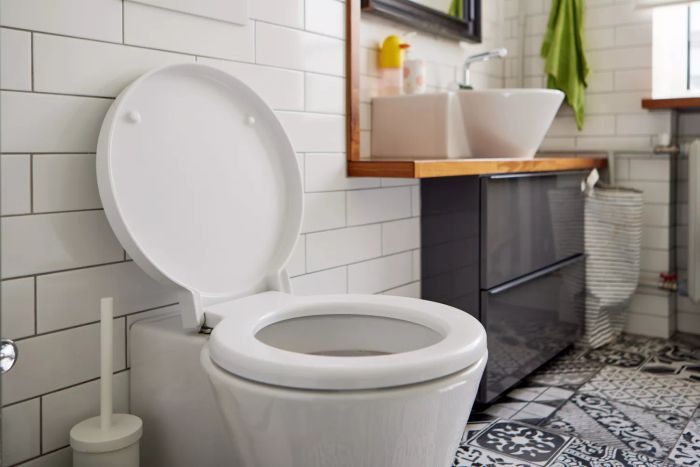 Modern bathroom design featuring a white ceramic bowl with an open lid, placed next to a sink with a tap on a wooden surface, with a mirror and towel in the daylight.