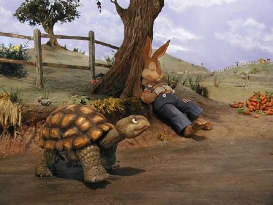 Tortpassinghare Sm