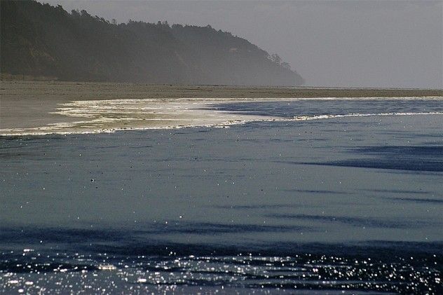 Tide: The tide is the regular rise and fall of sea levels caused by the gravitational pull of the moon and sun. Tides influence many natural phenomena and have been a subject of study for centuries. The movement of water during tides affects the ecosystem, including marine life, and plays a significant role in coastal geography and human activities such as fishing and navigation.