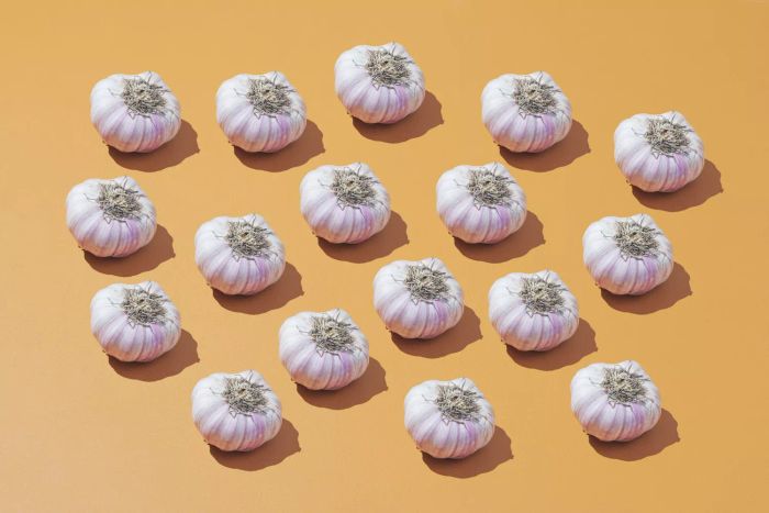 How to Store Garlic, garlic heads on colorful background