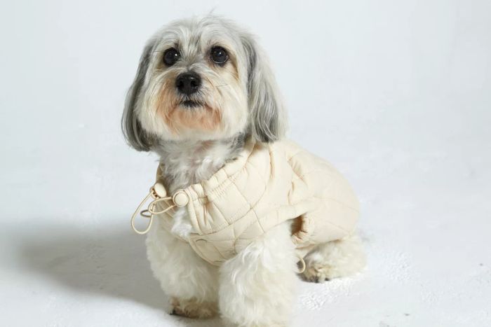 Maxbone's Easy Fit Jacket