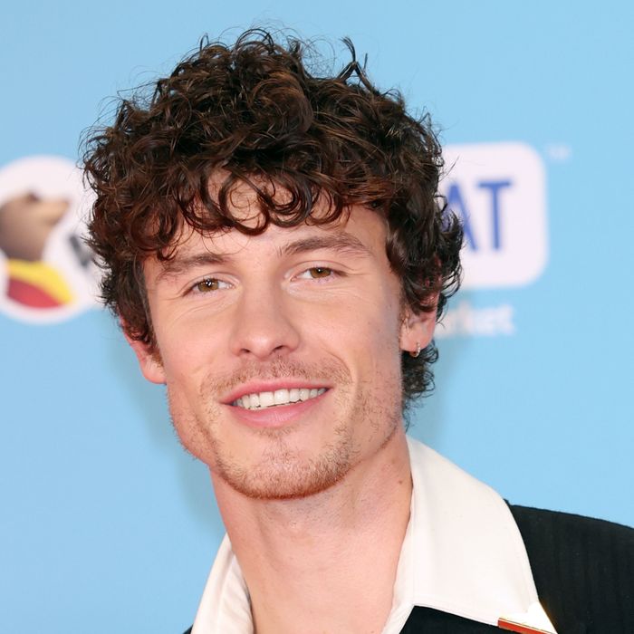 Shawn Mendes, dressed in a sharp black suit paired with a white shirt and a poppy pin, smiling warmly at a high-profile celebrity event