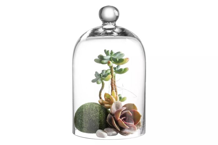 Amazon KMwares Clear Glass Display Dome Cloche Bell Jar Tabletop