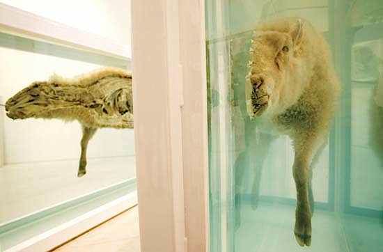 damien-hirst3.jpg