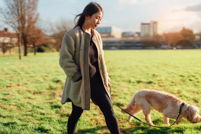 A full-length shot of a young woman walking her goldendoodle on a leash in the park, enjoying the sunshine. A perfect moment with pets.