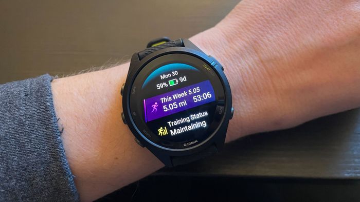 Glances on the Forerunner 265S