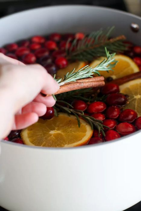 Holiday Simmer Pot