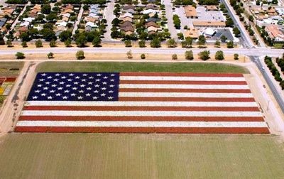 Flower Flag 2 2002