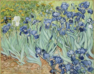 760Px-Vangoghirises2