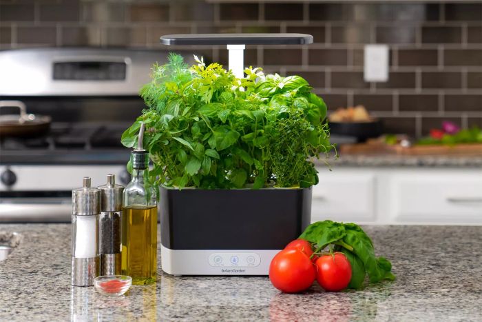 The AeroGarden Harvest Indoor Garden sits neatly on a kitchen counter, surrounded by a variety of fresh herbs.