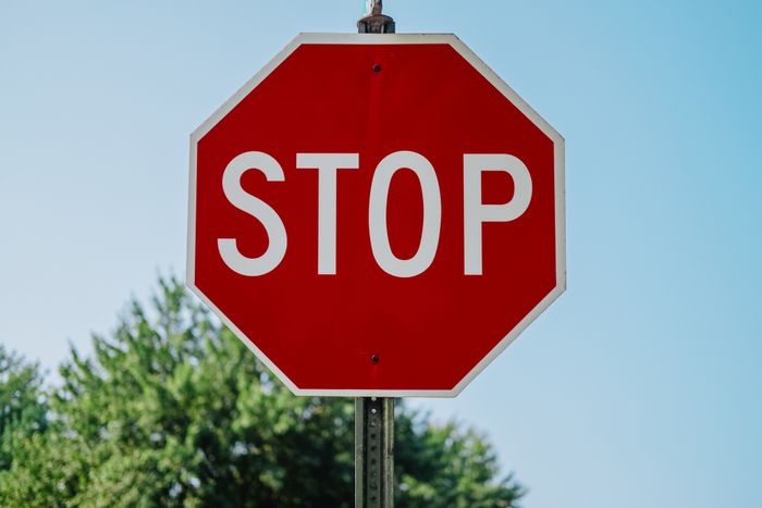 A bright red octagonal stop sign is positioned against a backdrop of lush green trees