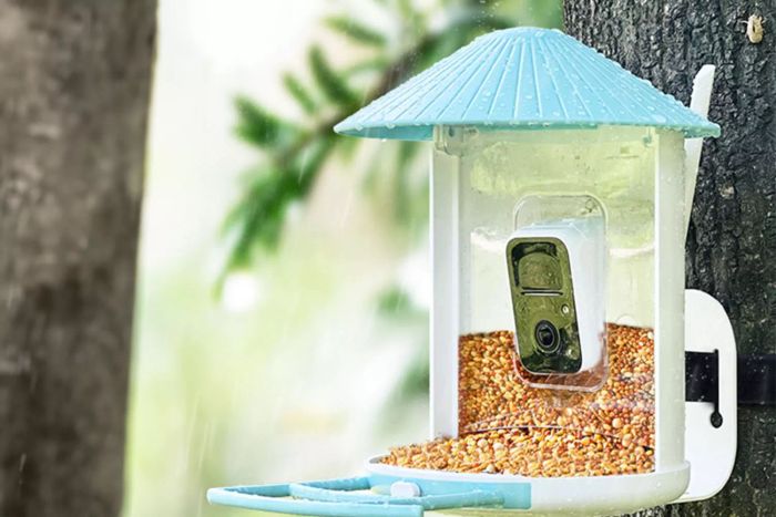 A close-up of the Netvue Birdfy Feeder AI mounted on a tree, showing the seed tray and built-in security camera for capturing every bird that visits.