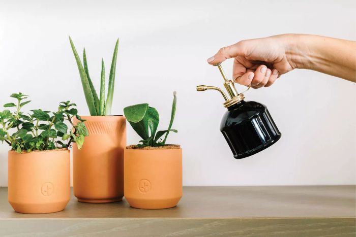 A person holding the Modern Sprout Brass & Glass Mister above three potted indoor plants on a table.