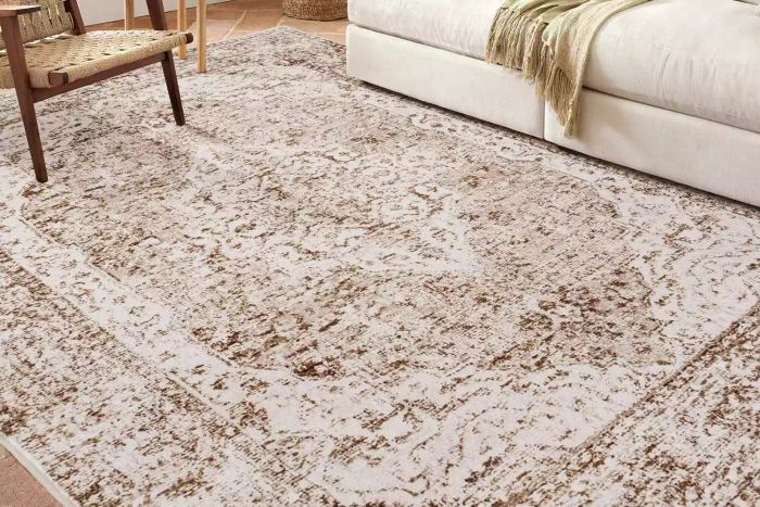 Lofus 5x7 Area Rugs for Living Rooms, Machine-Washable Area Rug