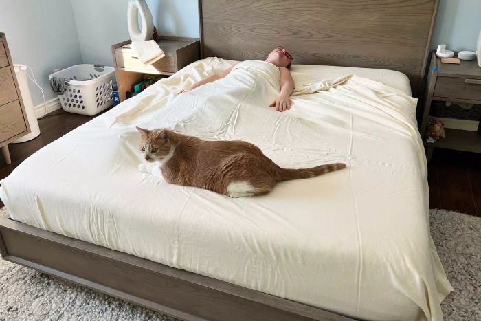 A person resting on a bed with the Sheets & Giggles Flannel Sheet Set