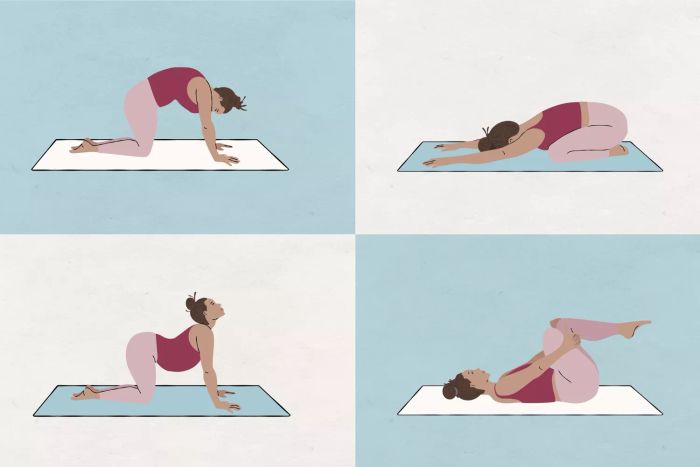 Lower Back Stretching: Effective Stretches for Your Lower Back