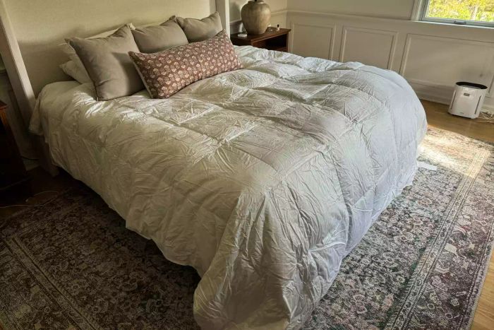 The Quince Ultra Warm Luxe Goose Down Comforter displayed on a bed