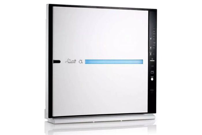 Rabbit Air MinusA2 Ultra Quiet HEPA Air Purifier SPA-780A
