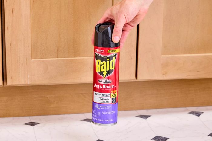 A hand placed on top of the Raid Ant & Roach Killer can