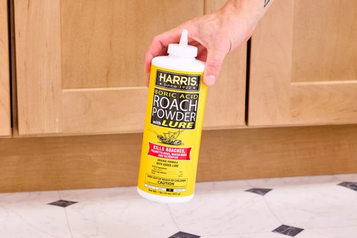 A hand holding the Harris Boric Acid Roach Powder With Lure container