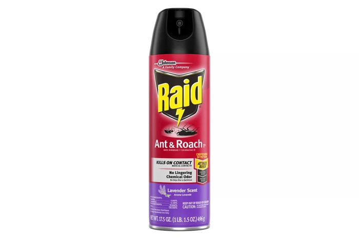 Raid Ant & Roach Killer