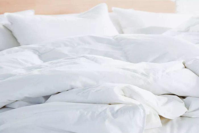 Avocado Down Duvet Insert