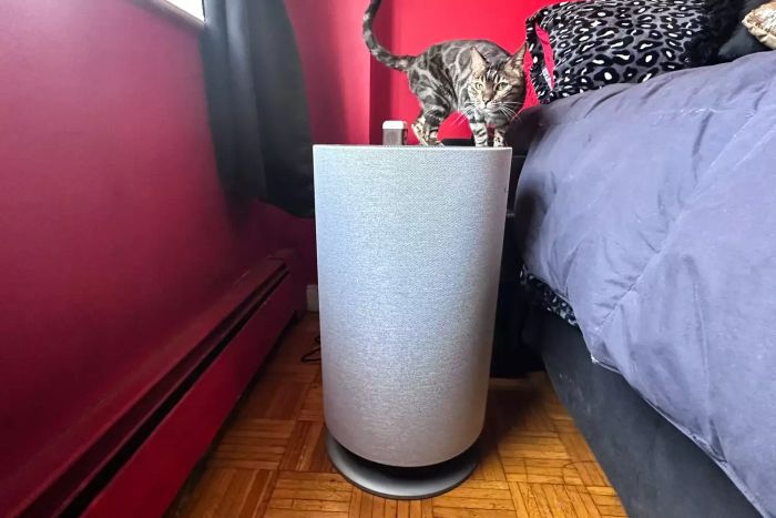 A cat perched on top of the Orsani Mod+ Hepa Air Filter