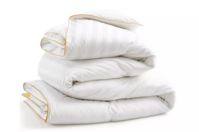 Wayfair Alwyn Home All Season Down Comforter